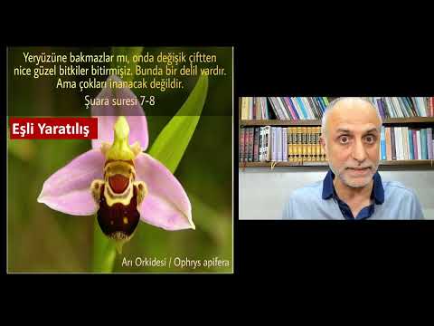 Kuran'ın Allah'tan Geldiğine Dair Kanıtlar