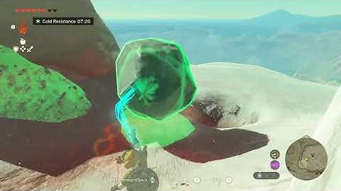 [DAY 373] of finding one korok seed in TotK everyday until a new Zelda game comes out