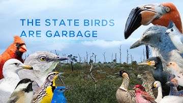 The State Birds are Garbage