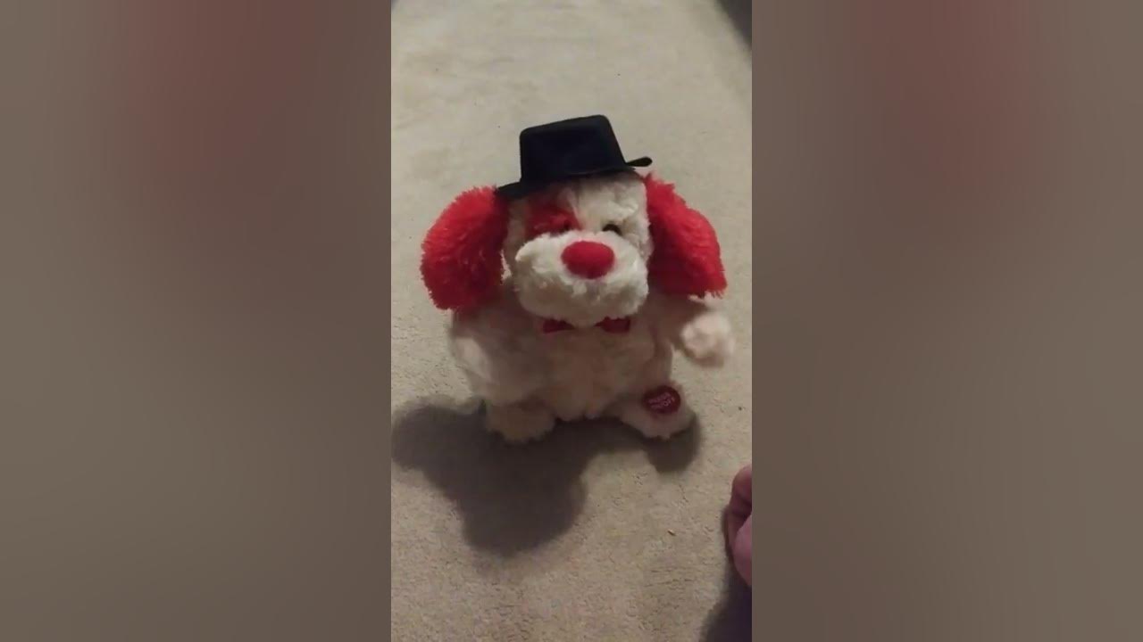 Sound n light dancing ear flapping dog - YouTube