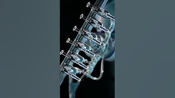 Rochu Soft robotic gripper #automated #gripper #softrobotics #roboticautomation #machine