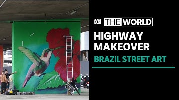 Artists transform Rio de Janeiro’s new rapid transit system | The World