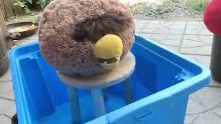 Chicken box attack: season 1 (all episodes)