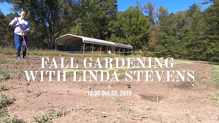 Fall Gardening With Linda Stevens | 2 Week Update ...