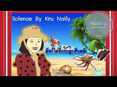 วิทยาศาสตร์ ป.4 เรื่องสัตว์และประเภทของสัตว์ (สัตว์ไม่มีกระดูกสันหลัง) part 9