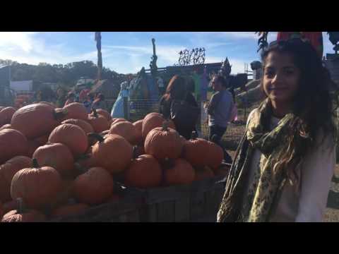 Video: Linvilla Orchards: The Complete Guide