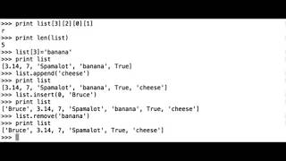 Famous DigiLing - Introduction to Python for Linguists - Unit 7.2 Profile