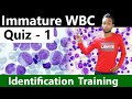 Immature wbc identification training quiz  12