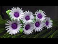 Easy And Beautiful Paper Flowers | Beautiful Flowers With Paper | Home Decor | DIY | Paper Craft