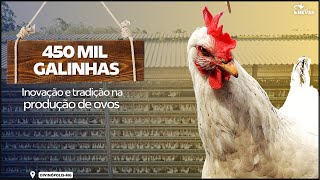 7 Andares de GALINHAS. Essa granja produz 10 milhões de OVOS por mês