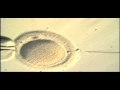 Intracytoplasmic Sperm Injection (ICSI) | Nashville Fertility Center