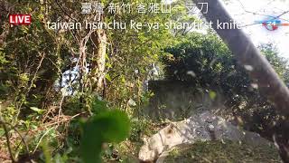 預約全年度&清明節掃墓服務