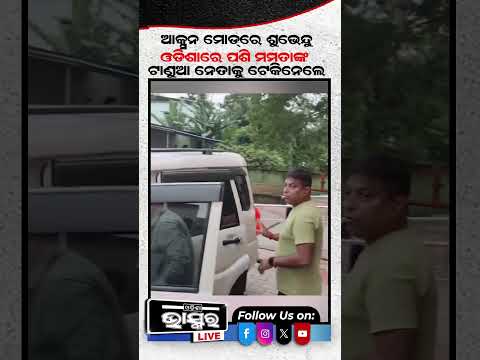 ମମତା ଦିଦିଙ୍କ ଟାଣୁଆ ନେତାଙ୍କୁ ଲଜରୁ ଟେକି ନେଲା କୋଲକାତା ପୋଲିସ... #odishanews #odishabhaskar