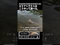 エリアトラウトはこうやって遊べる。#エリアミノーイング #釣り #troutfishing