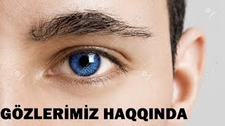 Gözlərimiz haqqında maraqlı faktlar