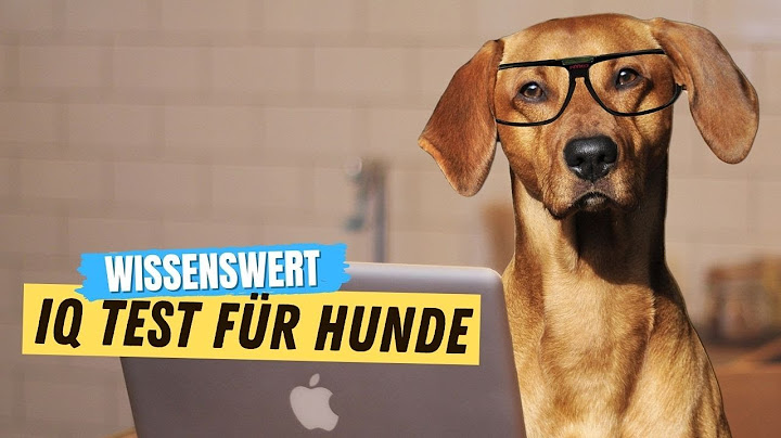 Wie alt wird mein Hund Test