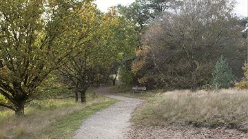 Herfst Eendenmeer met Roel van der Veen