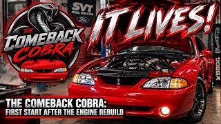 IT LIVES! – The Comeback Cobra: First Start After the Engine Rebuild