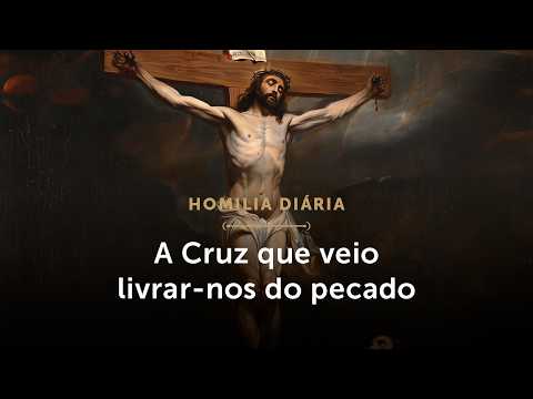 Daily Homily | The Cross that came to free us from sin (Feast of the Exaltation of the Holy Cross...