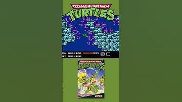TMNT: The Hardest Nintendo Level Ever!