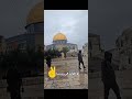لو طولنا في غربتنا راح يجي موعد عودتنا mp3