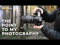 The point of my photography  macro photography with nikon d850