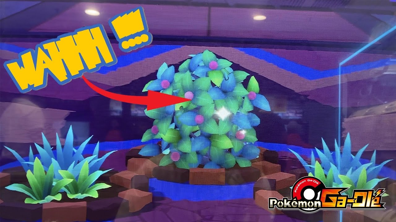 *SKEM BUSH??* Pokemon GaOle Rush Part 1 Gameplay YouTube