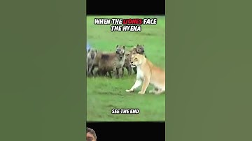 Wait for end 😱 #lion #animals #youtube #youtubeshorts #shortvideos #shorts #viral #viralvideos