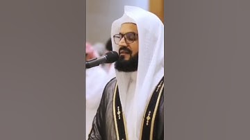 تلاوة بديعة من صلاة التراويح (ليالي رمضان ١٤٤٦ هـ) || #رعد_الكردي