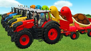 LOAD AND TRANSPORT GIANT TURTLES WITH FENDT TRACTORS AND STEYR LOADERS  Farming Simulator 22