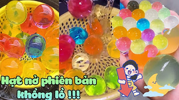 HẠT NỞ PHIÊN BẢN KHỔNG LỒ HIHI | CÀN QUÉT SÀI GÒN