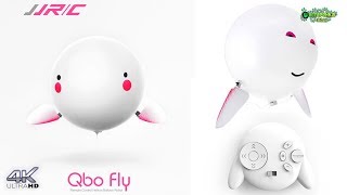 Подарок Qbo Fly Что За Зверь Такой