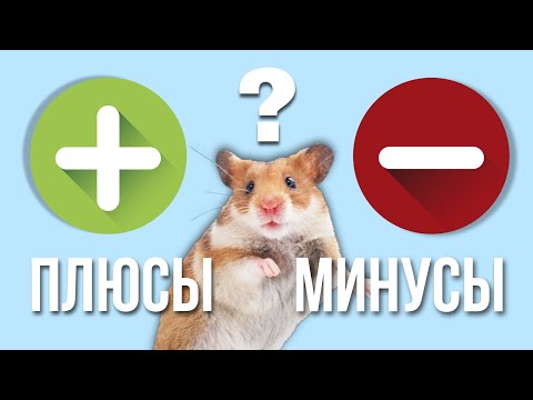 ВСЯ ПРАВДА О ХОМЯКАХ 🙊 || Плюсы и Минусы Содержания Хомяков 🐹 || Как Ухаживать за Хомяком 🌿❓️