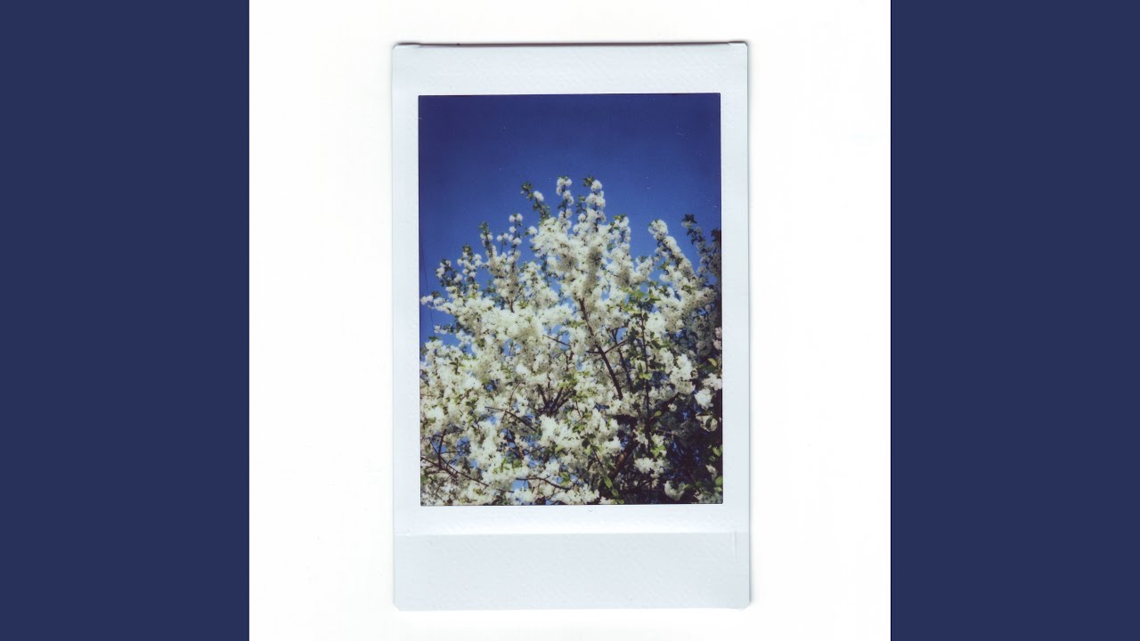 Guarda Снова su YouTube Guarda Снова su YouTube