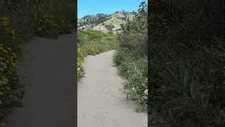 Pacifica, California 2026