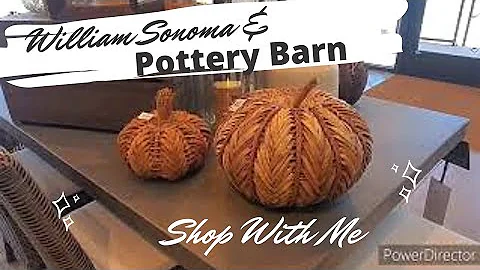 Pottery Barn & Williams Sonoma Shop With Me