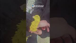 Do what your heart says😅💀 #collegelifememes #funnyvideo #collegefunny #intrusivethoughts #viralshort