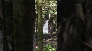 Hutan Rekreasi Sungai Tekala Waterfall Gombak Hulu Langat Geopark #nature #waterfall