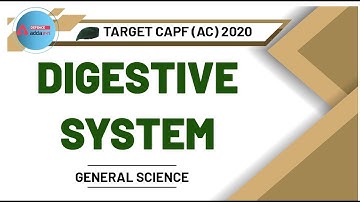 CAPF (AC) 2020 | General Science | Digestive System for CAPF Assistant Commandant Preparation