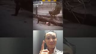 Con Cng n Ly My B Ht Tr  Chi Ri H shorts viral ytshorts funny reaction