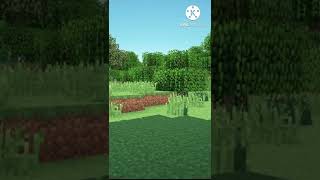 Famous Minecraft Creeper Explosion Animation Wealth