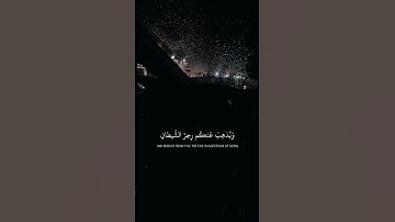 (إِذ يُغَشّيكُمُ النُّعاسَ أَمَنَةً مِنهُ)القارئ:عبدالرحمن مسعد 🌿