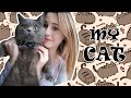 MY CAT  | МІЙ КІТ