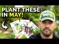13 crops youd be insane not to plant in may