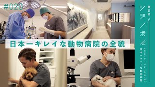 【密着】日本一キレイな動物病院のリアルな1日に密着【獣医師ツジノボル】