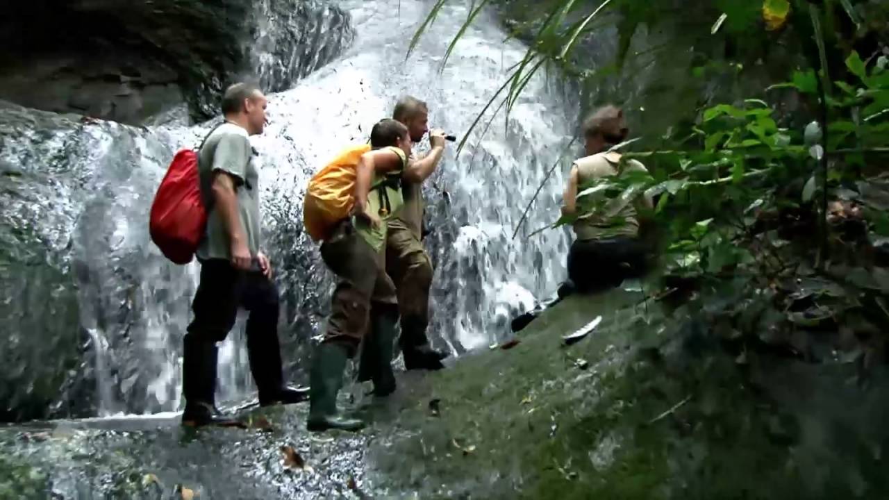 Foot-flagging frogs in Vienna | Episode 2: From the Sultanate to the imperial menagerie