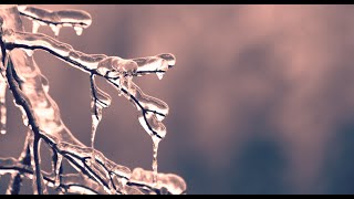 Lets PAINT FROSTY MORNING with Golden OPEN Acrylics
