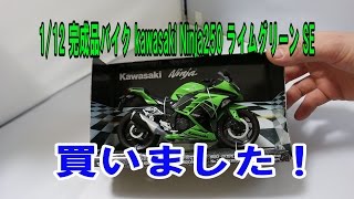 1/12 完成品バイク kawasaki Ninja250 ライムグリーン SE