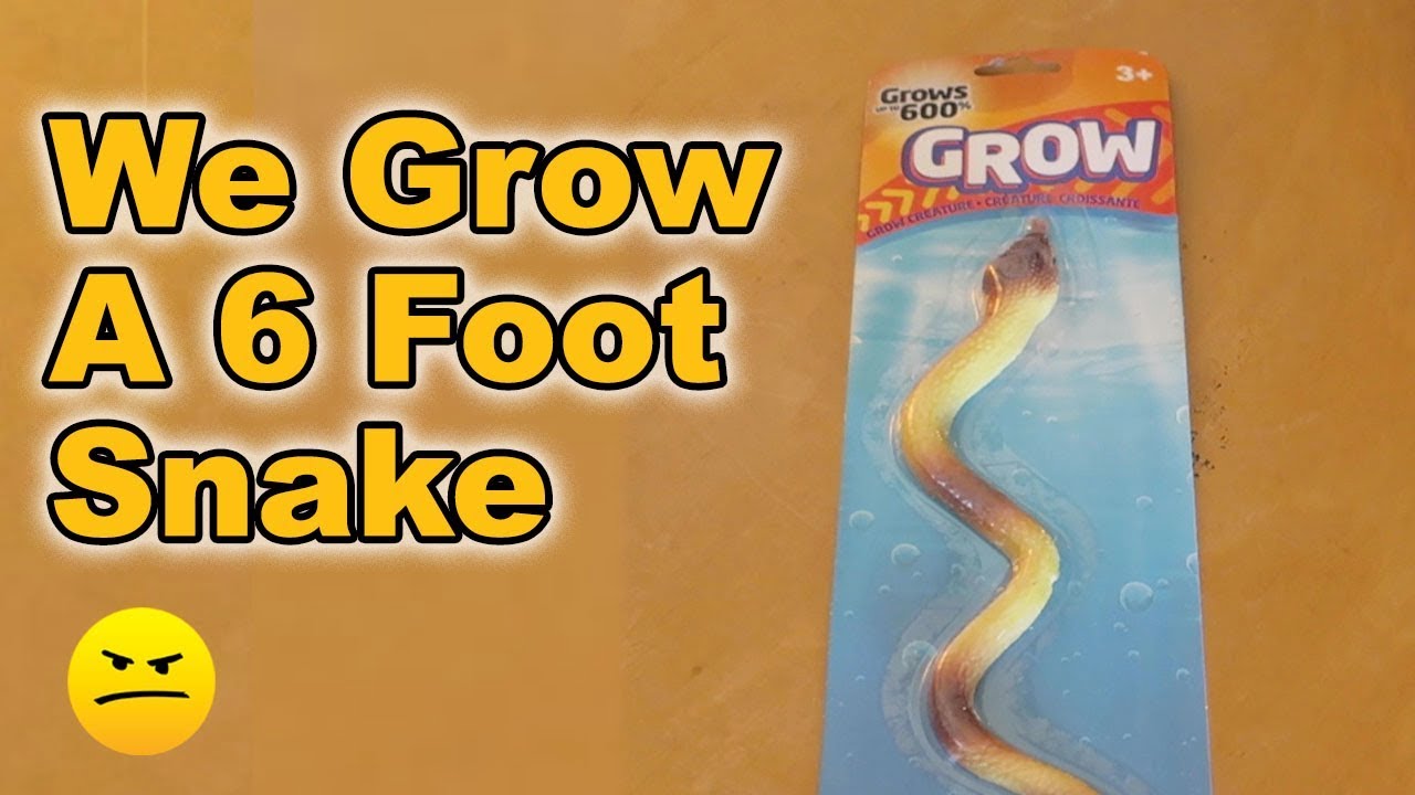 Jumbo Colored Growing Snake In Water 600% Cobra Fun for Kids 