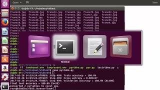 TensorFlow Deep Learning Project #3: Video Analysis